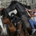 5c8a960c2400004205a342e5