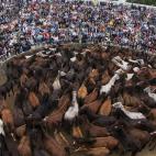 5c8a9610250000e203c938ce