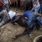 5c8a961124000093024c080e