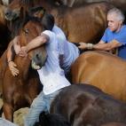 5c8a9614230000040123481b