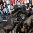 5c8a96152400006c05a342f5