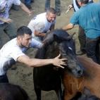 5c8a96152000009e046f547c