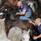 5c8a9616230000d50423481d