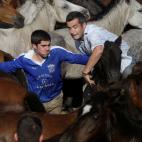 5c8a96172000009d036f5480