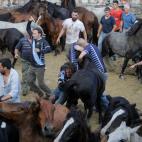 5c8a961c2400006b054c0822