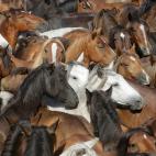 5c8a961c250000bd058152d1