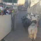 5c8af1402000009e046ffd53