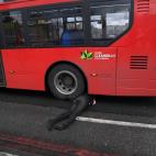 5c8ab7673b000072066c6fb7