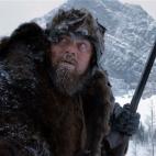 5c8b184724000093024cd435