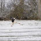 5c8aa62924000093024c2db7