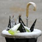 5c8aa62b2300002f00e6e554