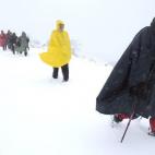 5c8aa62c24000093024c2dbb