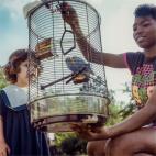 5c8ad7012300002f00e74551