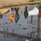 5c8aa37f360000a61b6bc4d7