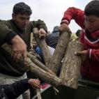 5c8aa3823b000037066c458b