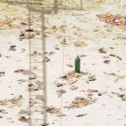 5c8ae9c020000045046ff3bd