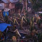 61c184b5280000799d7ed34b