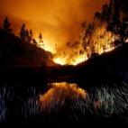 5c8ae5b5240000f7054ca311