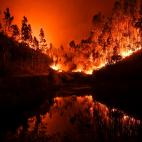 5c8ae5b8360000e01c6c4042