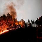 5c8ae5b82500000d04c9d3d7