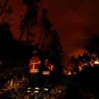 5c8ae5bb250000e203c9d3db