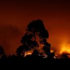 5c8ae5bc20000043046fee47