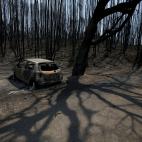 5c8ae5c022000030001a0f95