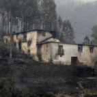 5c8ae5c0240000f404a3df0a