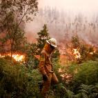 5c8ae5c22300003000e75afd