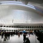 5c8ace5d3b000054066c9b59