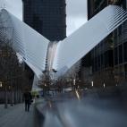 5c8ace5e250000580681c86c