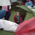 5c8b0a912400006d054cbae8