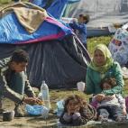 5c8b0a912300005300e77341