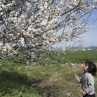 5c8b0a942500001304c9ebcd