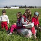 5c8b0a9420000045047005eb