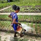 Una joven mujer africana trabajando en los campos, en el riego de los cultivos a las afueras de Bangui el 13 de marzo de 2014 en República Centroafricana. (Thomas Koehler/Photothek/Getty Images)