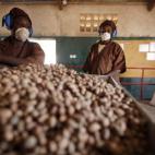 Mujeres en una línea de producción de mantequilla de karité para la compañía de cosméticos francesa L'Occitane en Leo, en el centro-sur de Burkina Faso, el 24 de enero de 2014. (LIONEL BONAVENTURE/AFP/Getty Images)
