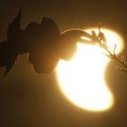 5c8b30d322000030001a81c0