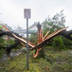 5c8a7b8d2500000704c9183e