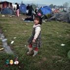 5c8b12d12500000704c9fad6