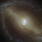 Esta vista, capturada por el telescopio espacial Hubble de la NASA/ESA, lanzada en julio, muestra una cercana galaxia espiral conocida como NGC 1433. A unos 32 millones de años luz de la Tierra, es un tipo de galaxia muy activa conocida como un...