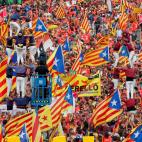 5c8a790b2000009d036f3252