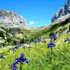 Si ya en otoño, con los colores ocres, Ordesa es un espectáculo visual, imagínate cómo tiene que ser con la llegada de la primavera. Este parque es Parque Nacional, Reserva de la Biosfera, Zona protegida de Aves y Patrimonio de la Humanidad...
