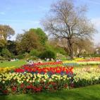 Londres por sí misma ya es una ciudad increíble, pero si a alguien le hace falta un último empujón, aquí está: disfrutar de la primavera en su impresionante Hyde Park. "Es uno de los mejores paisajes y el espacio abierto más grande de L...