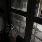 5c8abd7e2500000704c98fb0