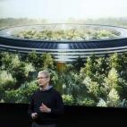 5c8b132a360000e01c6c6744