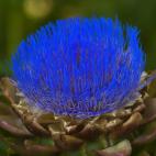 5c8b3c282000004304707433