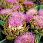 5c8b3c292400006d054d2b8d