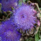 5c8b3c292300000401246d1c