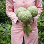 5c8b3c2a24000093024d2b8f